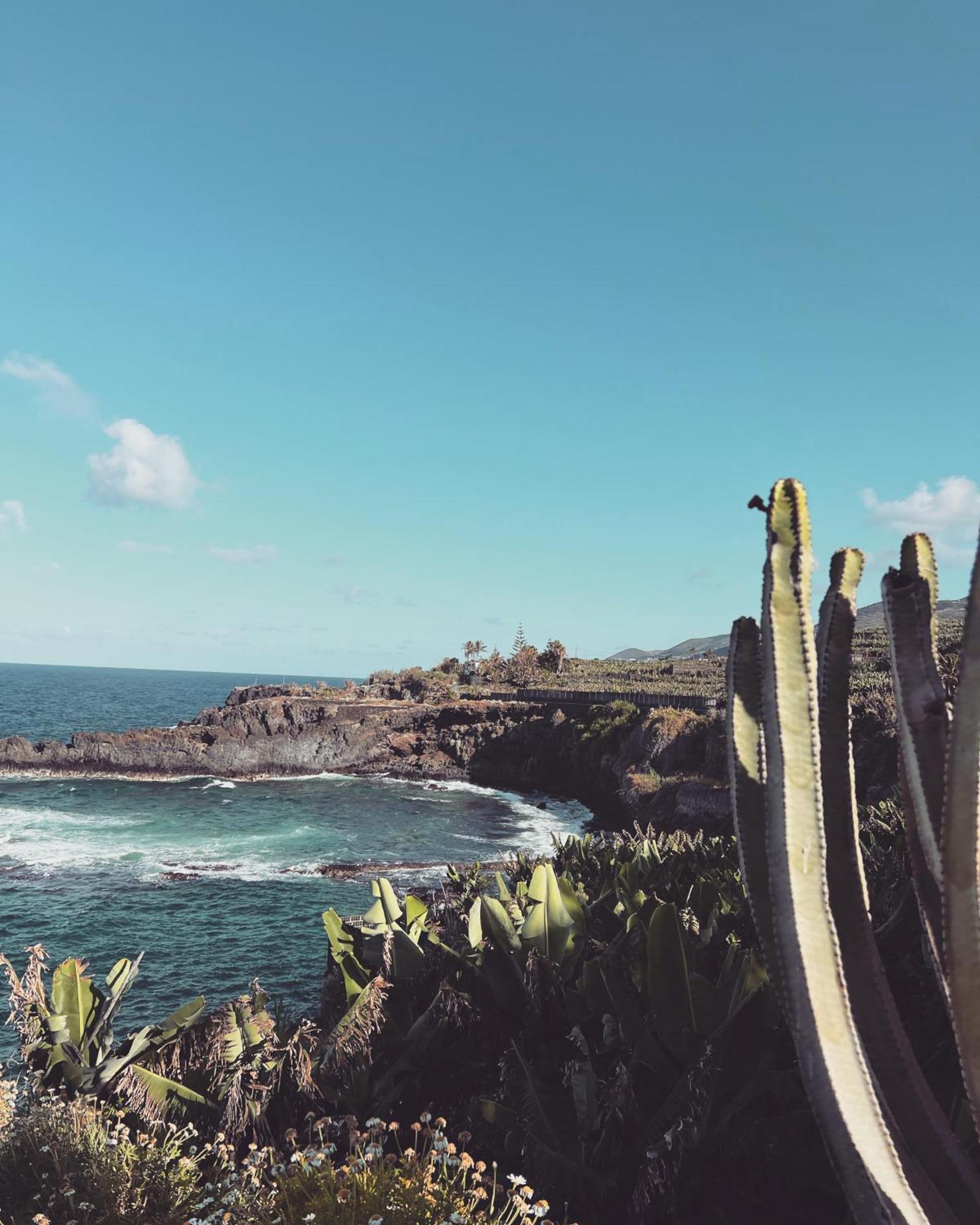 Casa Amaranto Tranquilidad Y Encanto San Andres  Dış mekan fotoğraf